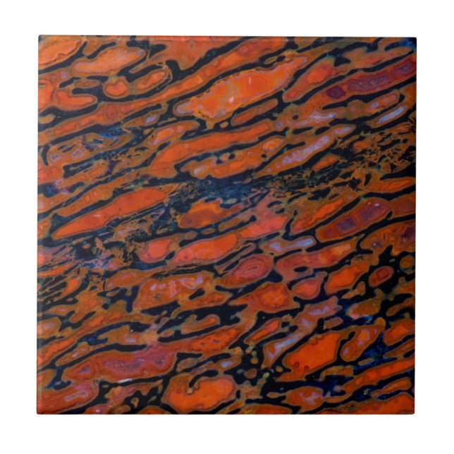 Red Petrified dinosaur bone Ceramic Tile (Front)