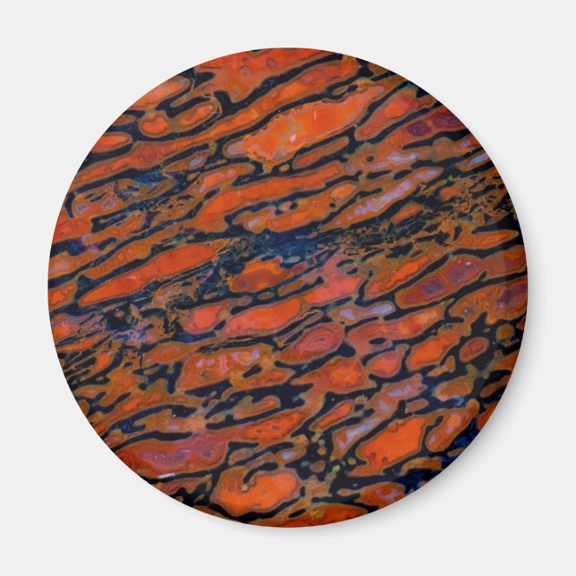 Red Petrified dinosaur bone Magnet (Front)