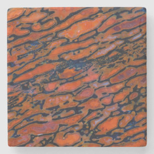 Red Petrified dinosaur bone Stone Coaster