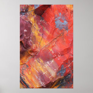 Red Petrified wood detail, Arizona Poster
