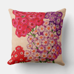 red phlox purple phlox lavender phlox cushion