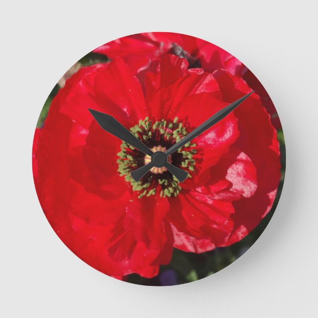Red Photo of a beautiful poppy flower  Round Clock (Front)