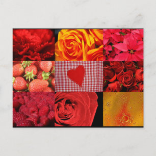 Red Photography Collage Postcard