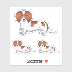 Red Pied Long Hair Dachshund Cartoon Dog Drawings