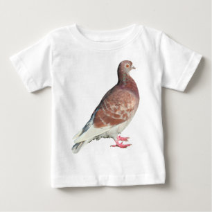 Red Pigeon (isolated) Baby T-Shirt