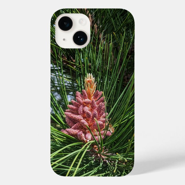Red Pine Tree Pollen Cone (Pinus resinosa) Case-Mate iPhone Case (Back)