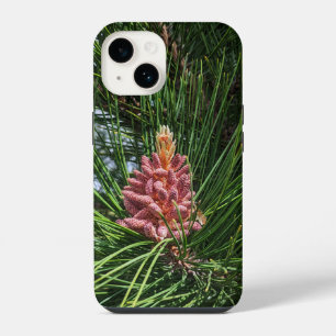 Red Pine Tree Pollen Cone (Pinus resinosa) iPhone 14 Case
