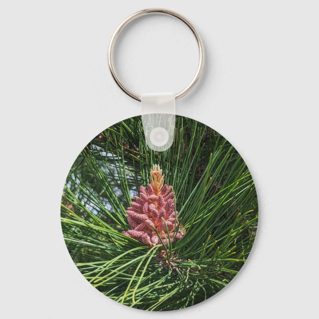 Red Pine Tree Pollen Cone (Pinus resinosa) Key Ring (Front)