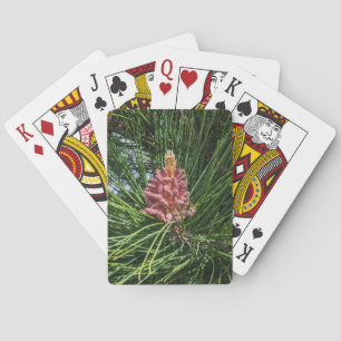 Red Pine Tree Pollen Cone (Pinus resinosa) Playing Cards