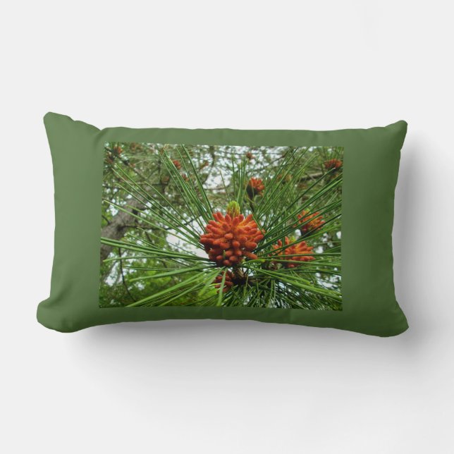 Red Pines or Norway Pine Flowers Accent Pillows (Front)