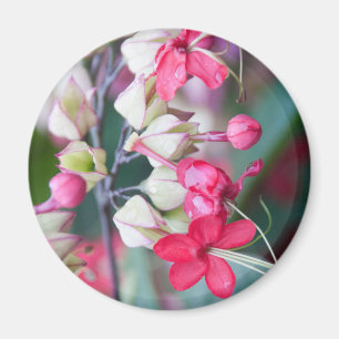 Red Pink and White Tropical Flowers Magnet