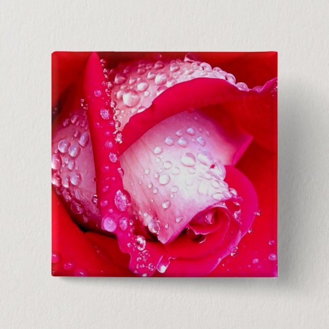 Red/Pink Dew-Kissed Rose 15 Cm Square Badge (Front)