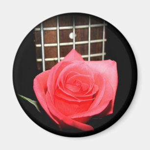 Red pink rose against five string bass fret board magnet