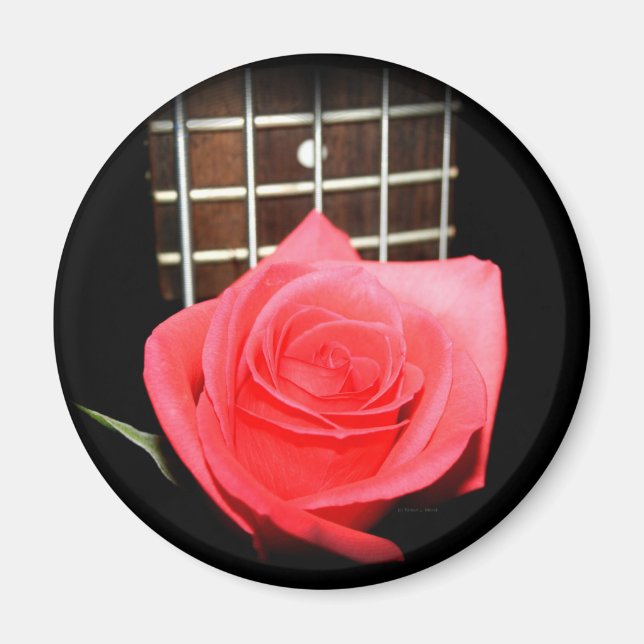 Red pink rose against five string bass fret board magnet (Front)
