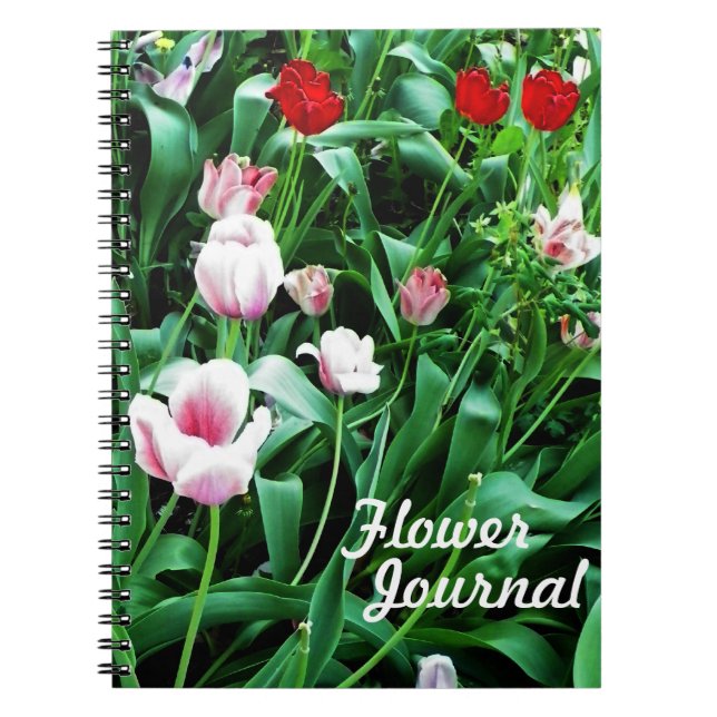 Red & Pink Tulips Pictures Notebook (Front)