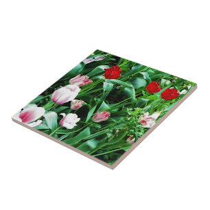 Red & Pink Tulips Pictures Spoon Rest Ceramic Tile