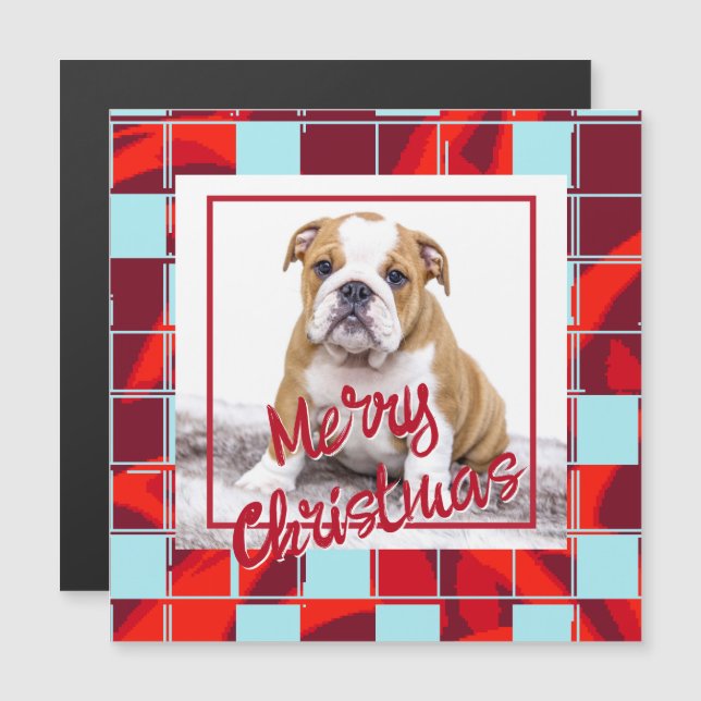 Red Plaid Bulldog Dog Photo Merry Christmas Magnet (Front/Back)