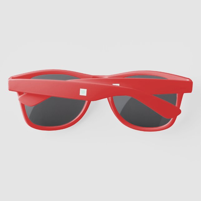 Red Plastic Sunglasses (Back)