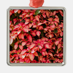 Red Poinsettia Christmas flower Metal Ornament