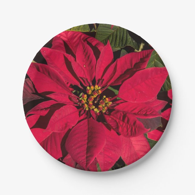 Red Poinsettia Christmas Party Paper Plate (Front)