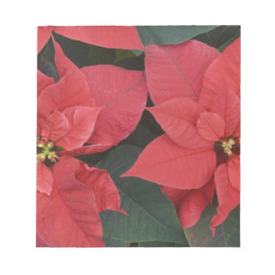 Red Poinsettia Detail (Euphorbia pulcherrima) Notepad