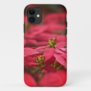 Red Poinsettia Flowers iPhone 11 Case