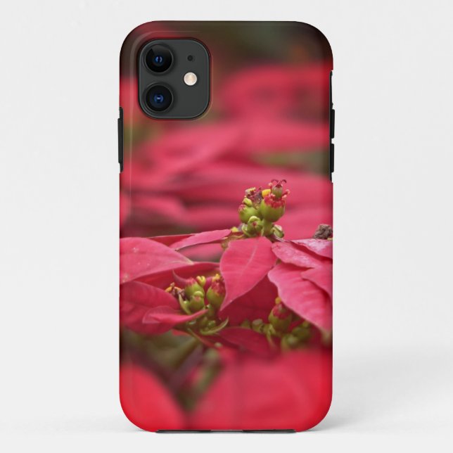 Red Poinsettia Flowers Case-Mate iPhone Case (Back)