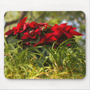 Red Poinsettia Mouse Pad
