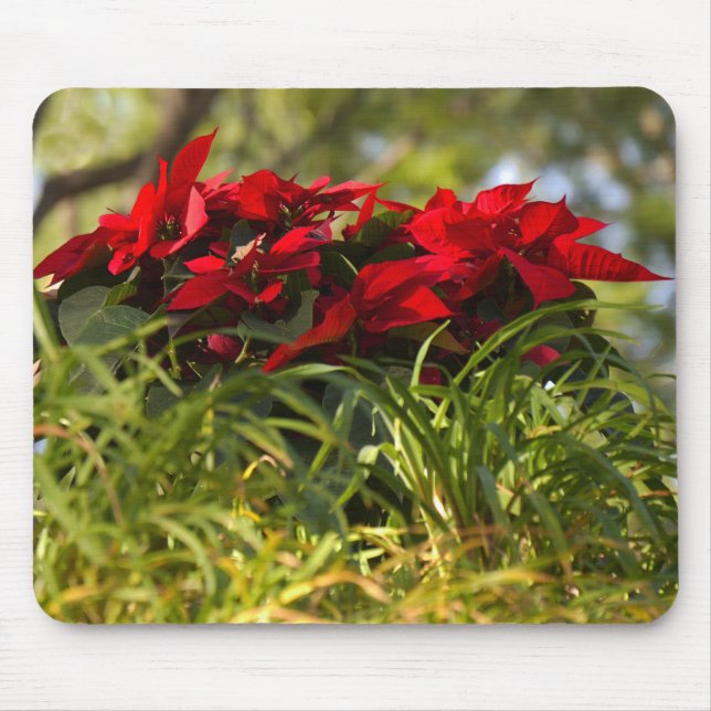 Red Poinsettia Mouse Pad (Front)