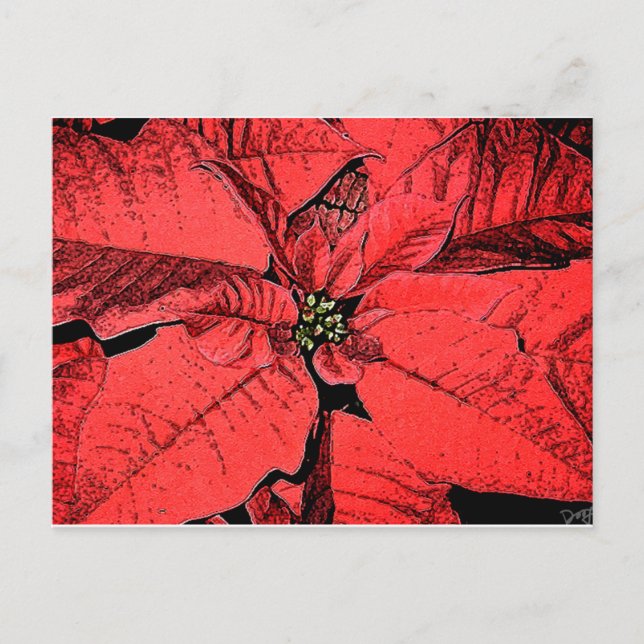 Red Poinsettia Postcard (Front)