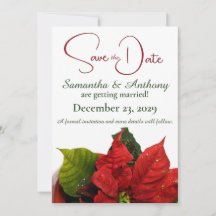 Red Poinsettia Wedding