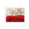 Red Poinsettias Christmas Save the Date