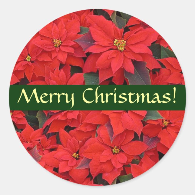 Red Poinsettias Christmas Sticker (Front)