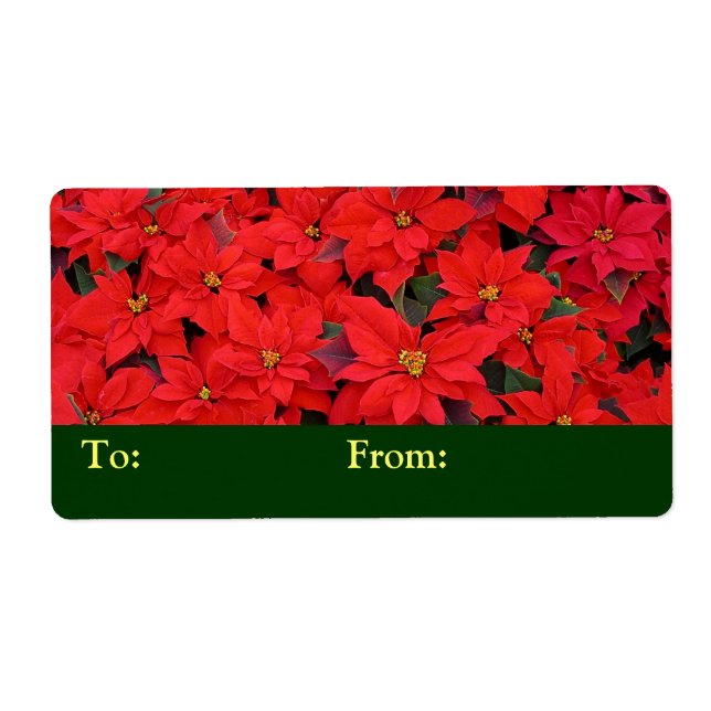 Red Poinsettias I Christmas Holiday Floral Photo (Front)