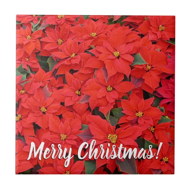 Red Poinsettias I Christmas Holiday Floral Photo Ceramic Tile (Front)