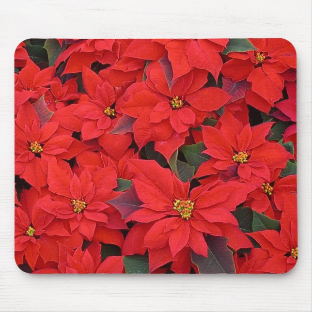 Red Poinsettias I Christmas Holiday Floral Photo Mouse Pad (Front)