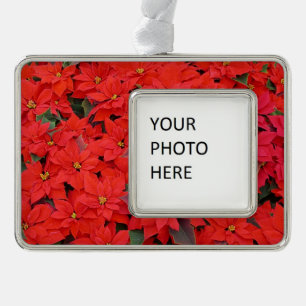 Red Poinsettias I Christmas Holiday Floral Photo Silver Plated Framed Ornament