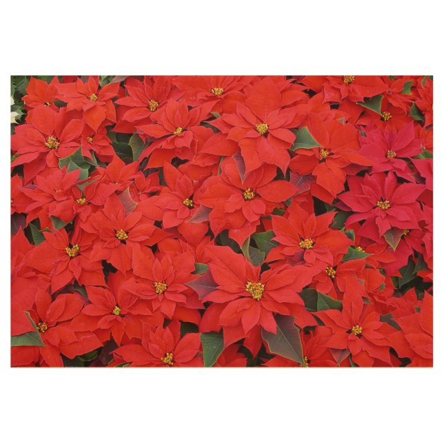 Red Poinsettias I Christmas Holiday Floral Photo Wood Poster (Front)