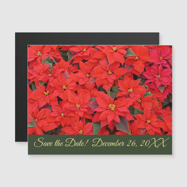 Red Poinsettias I Christmas Holiday Save the Date  Magnetic Invitation (Front/Back)