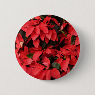 Red Poinsettias II Christmas Holiday Floral 6 Cm Round Badge