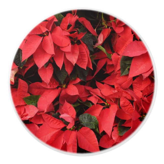 Red Poinsettias II Christmas Holiday Floral Ceramic Knob (Front)