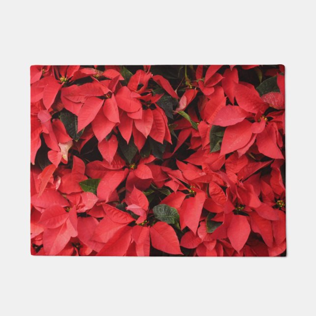 Red Poinsettias II Christmas Holiday Floral Doormat (Front)