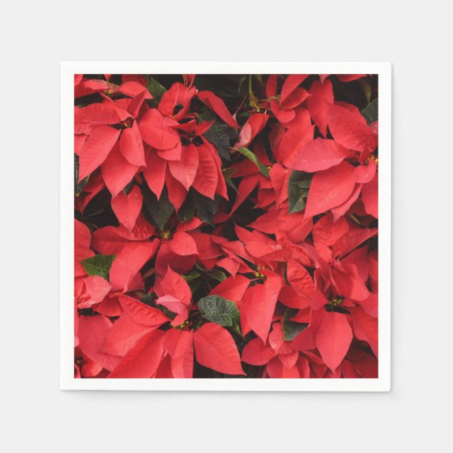 Red Poinsettias II Christmas Holiday Floral Napkin (Front)
