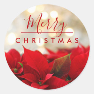 Red Poinsettias Merry Christmas Bokeh Lights Classic Round Sticker