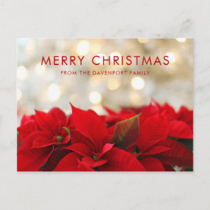 Red Poinsettias with Golden Bokeh Christmas Postcard