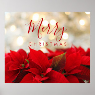 Red Poinsettias with Golden Bokeh Christmas Poster
