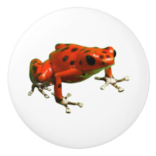 Red Poison Dart Frog Ceramic Knob