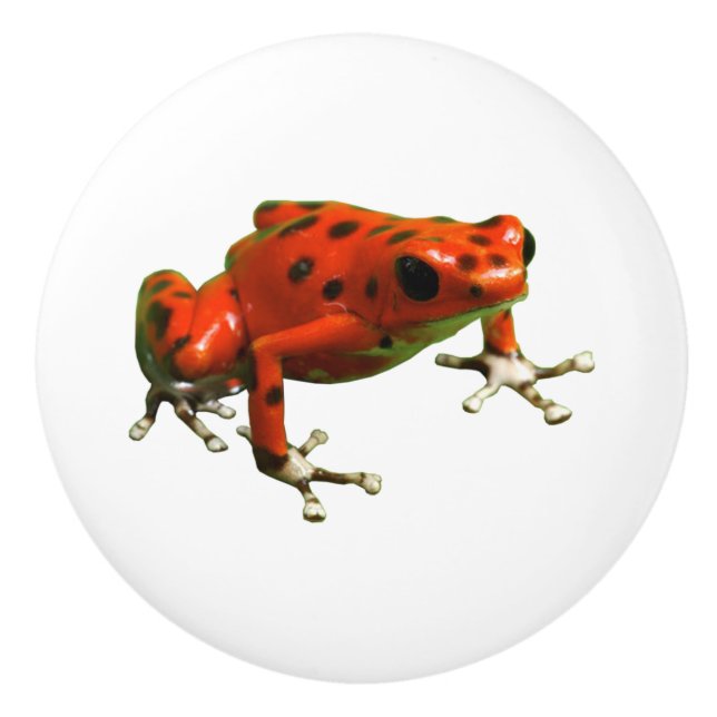 Red Poison Dart Frog Ceramic Knob (Front)