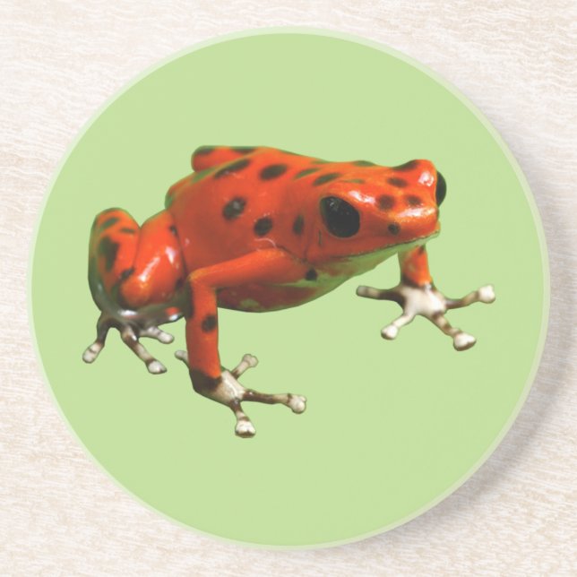 Red Poison Dart Frog Coaster (Front)