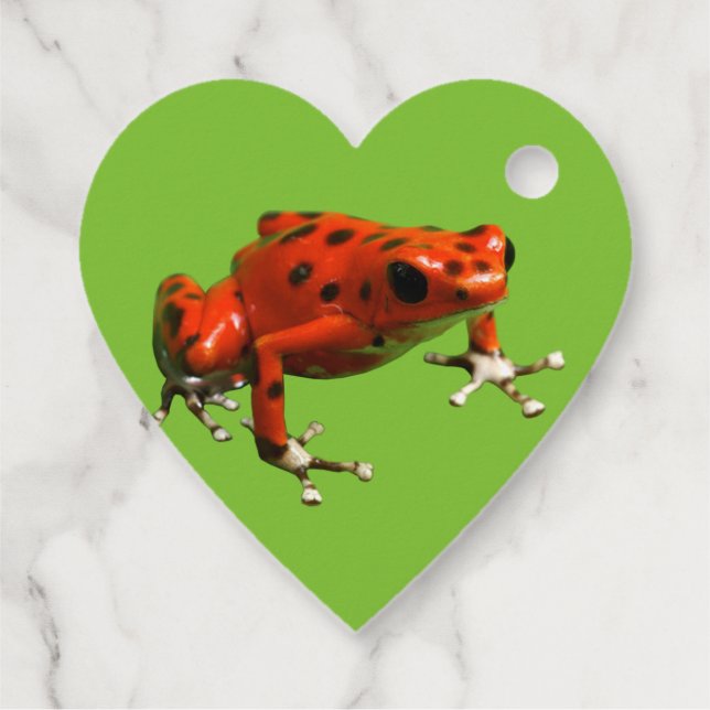 Red Poison Dart Frog Favour Tags (Back)